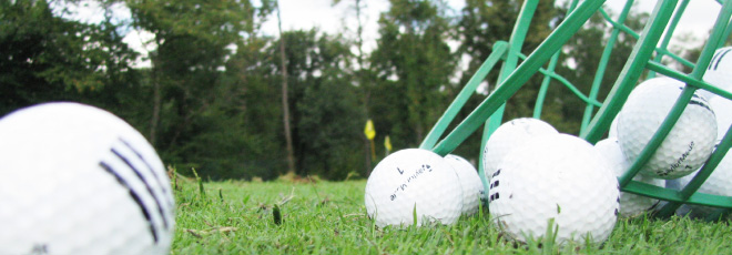 ゴルファーズスペースRではゴルフ初心者・経験者、プロゴルファーを目指す方まで幅広い方を対象にゴルフレッスンを行っております。店内のゴルフ工房ではゴルフクラブのカスタムも承っております。